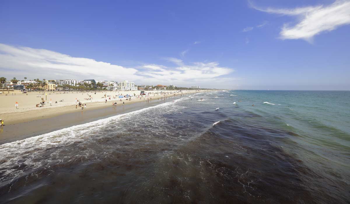 Santa Monica State Beach