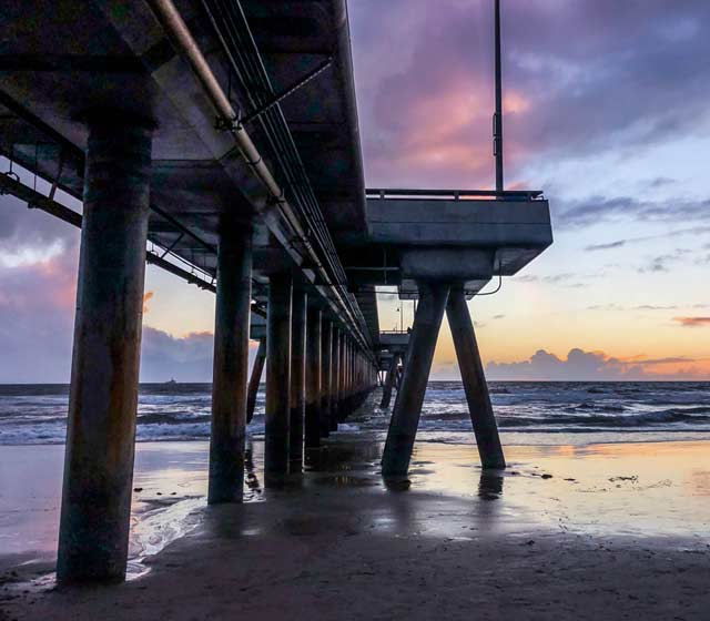 Venice Beach