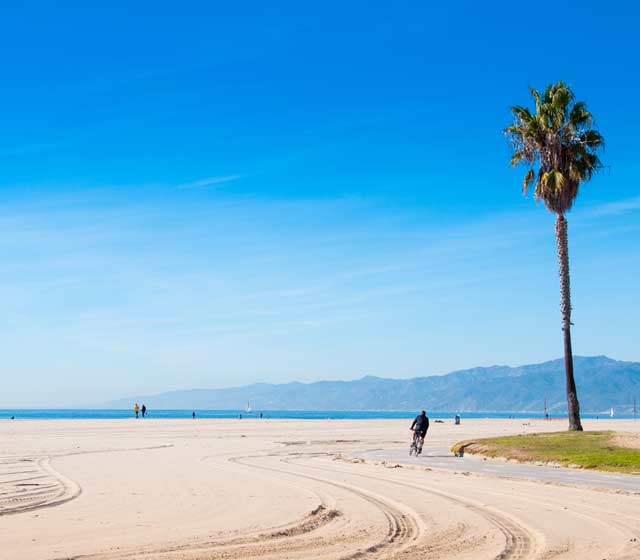 Venice Beach