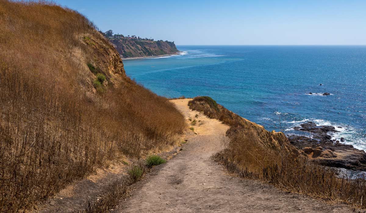 Best Things to do in LA