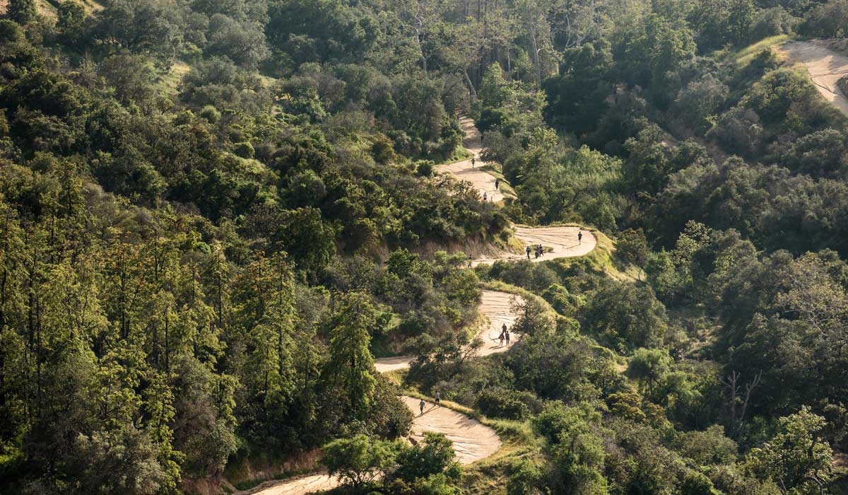 Best Things to do in LA