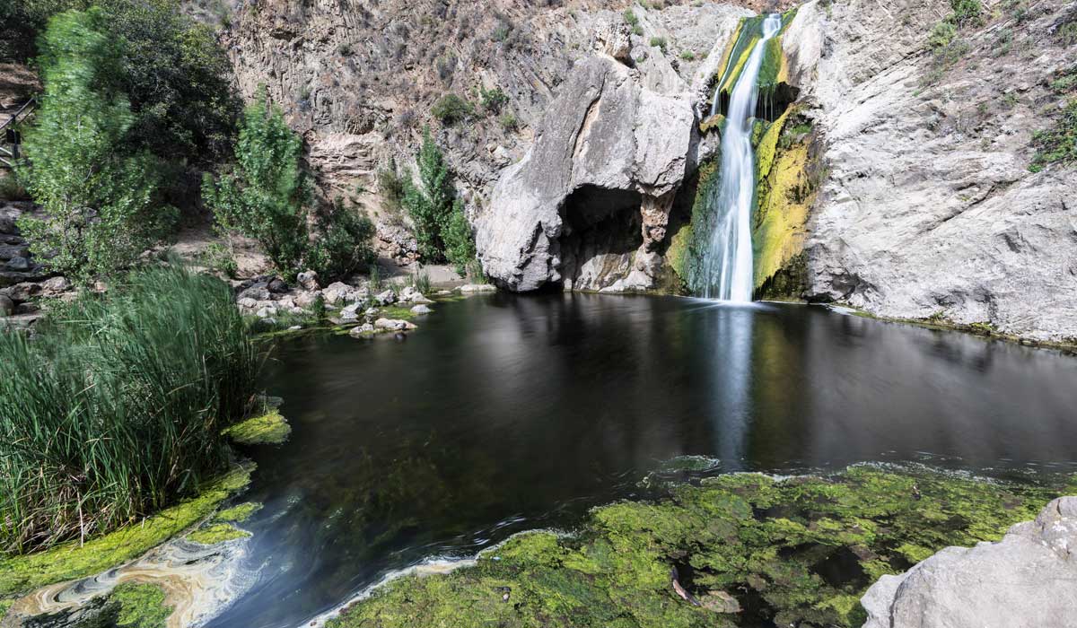 Best Things to do in LA