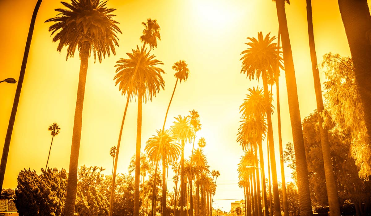 Things to Do in Beverly Grove California