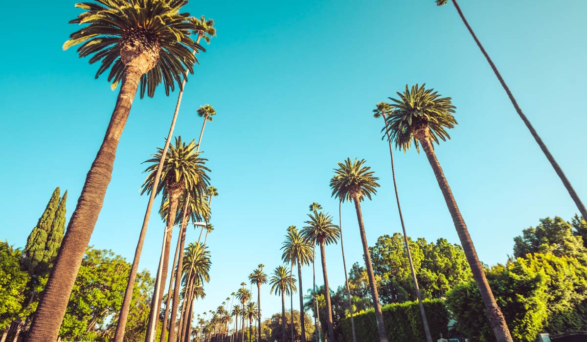 Celebrity Beverly Hills
