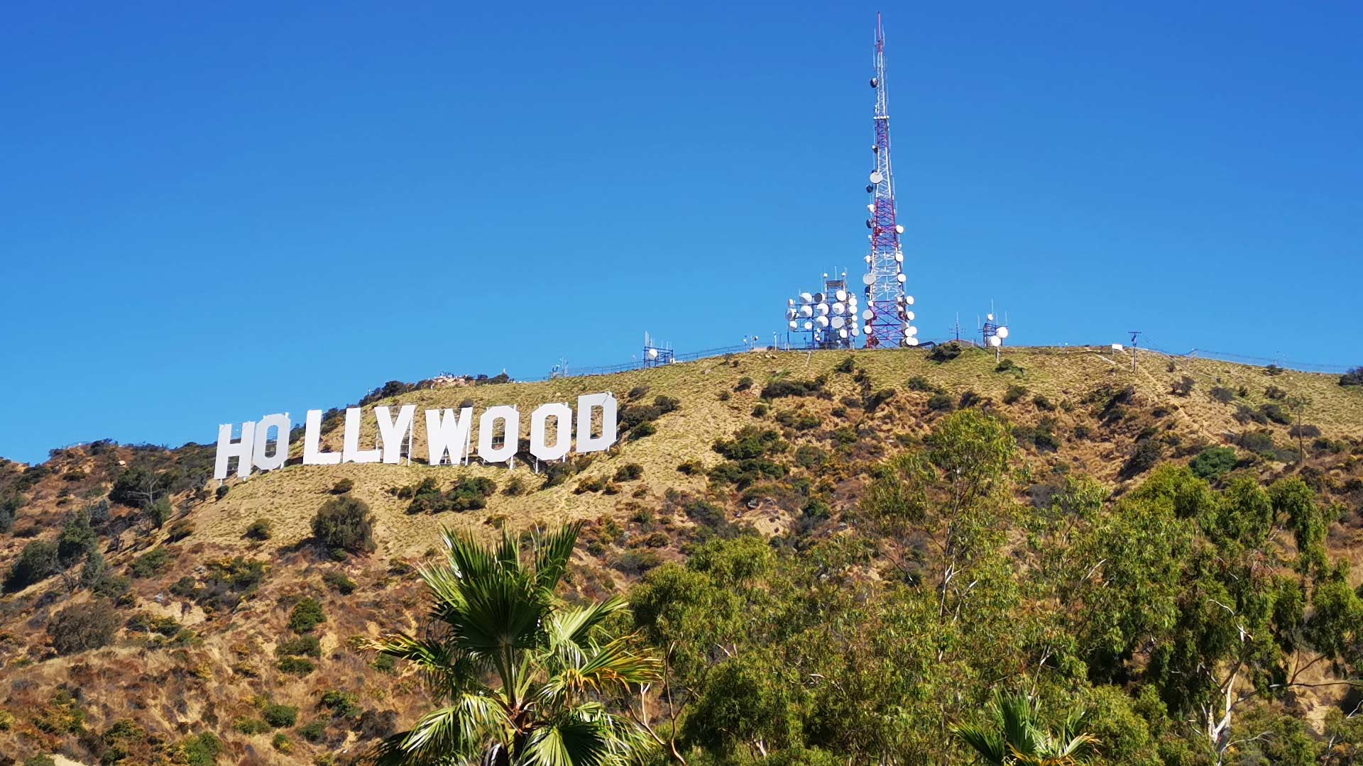 Hollywood Christmas Parade