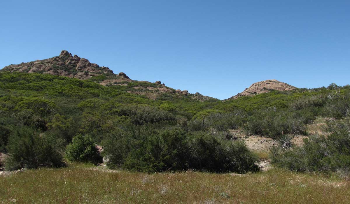 Backbone Trail to Sandstone Peak