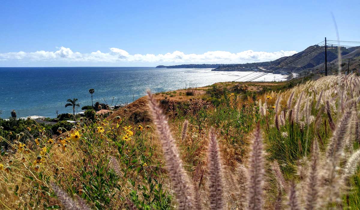 Dan Blocker County Beach