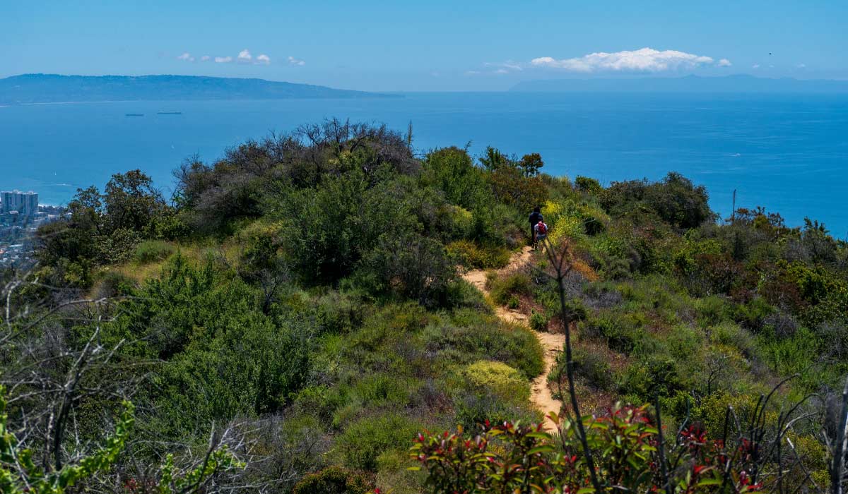 Temescal Canyon Trail