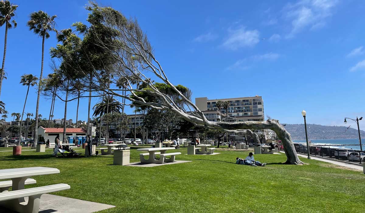 Redondo Beach Parks