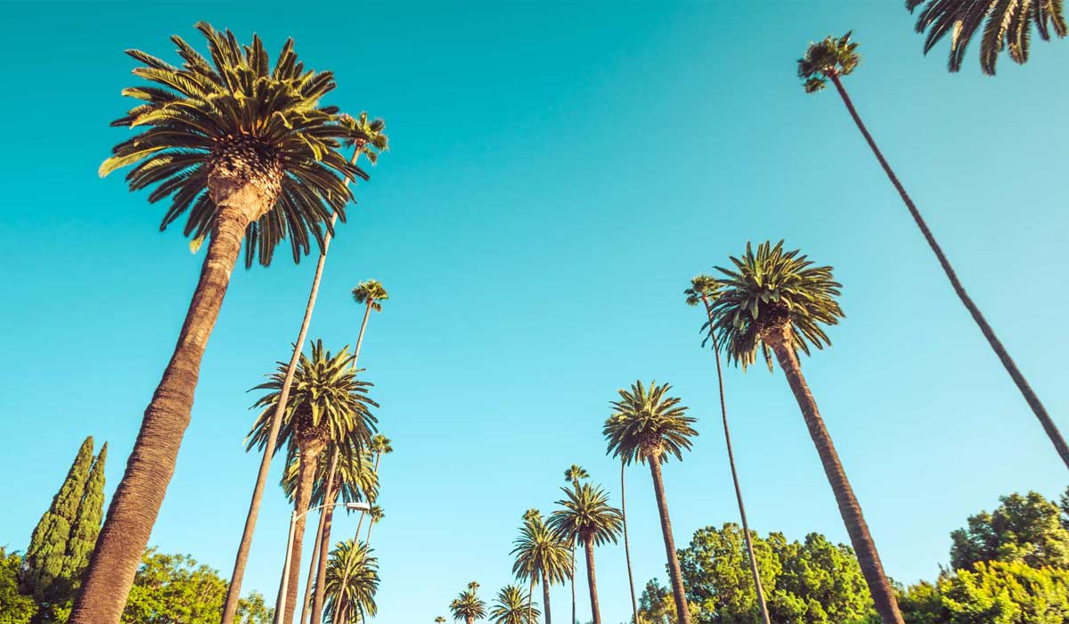 Things to Do in West Hollywood California