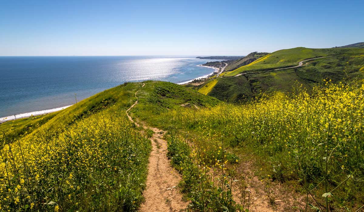 Beach Hikes Los Angeles