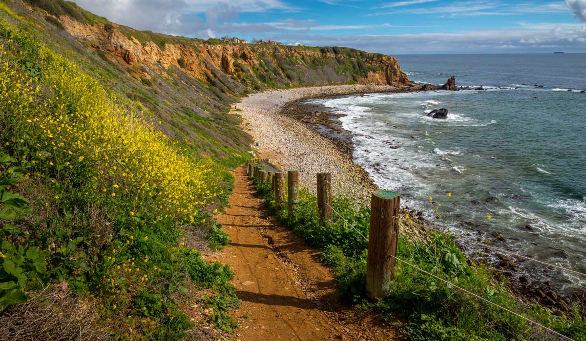 Beach Trails