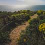 Point Dume Cove Trail