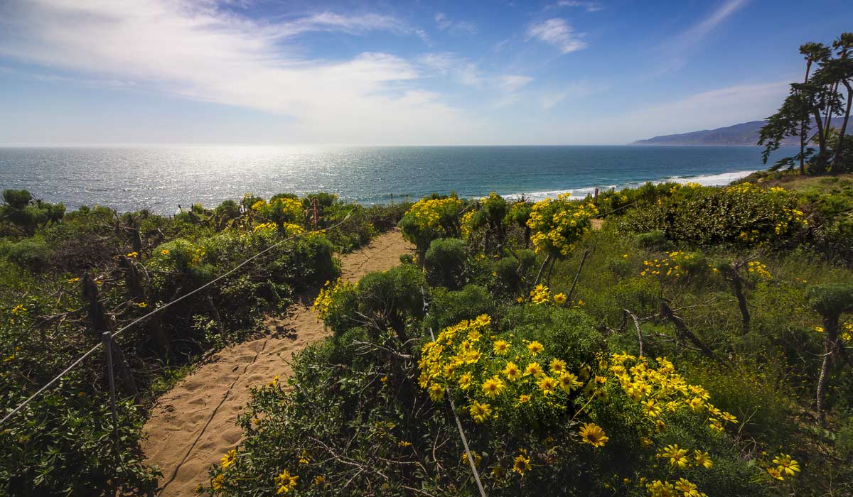 Malibu Hikes Ocean View
