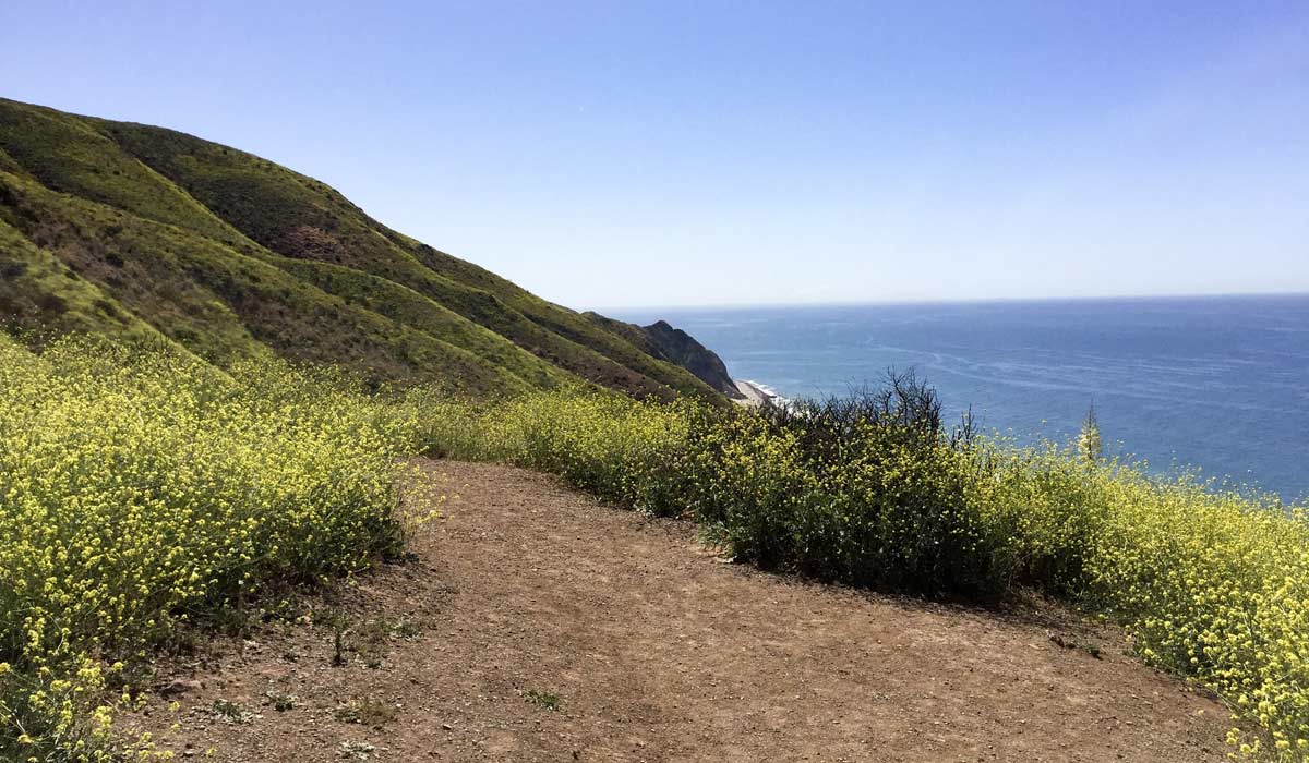 Hiking Trails Camarillo CA