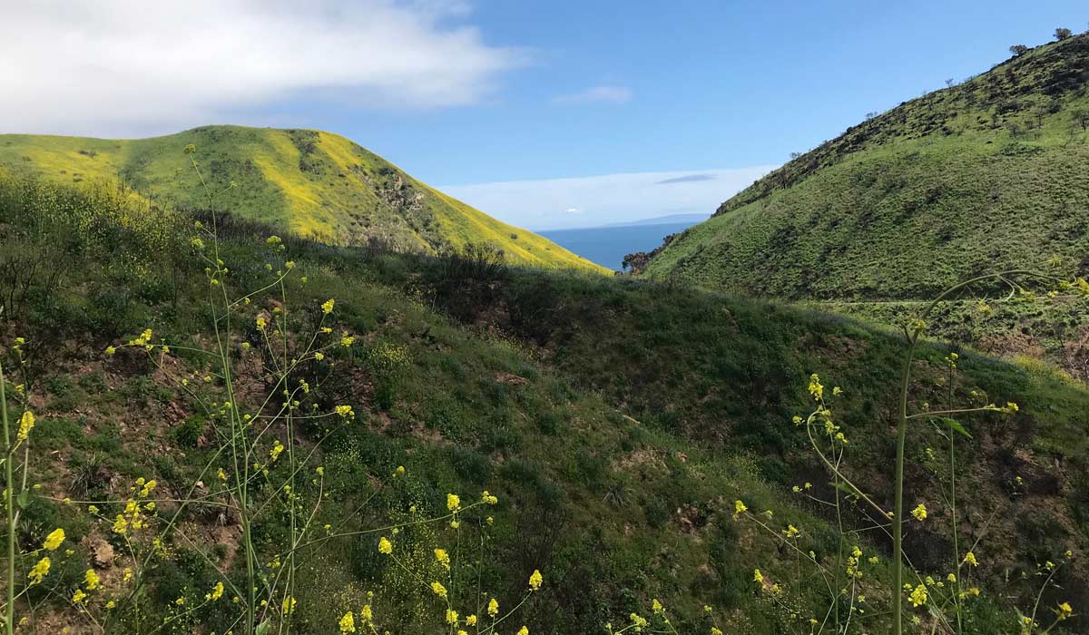 Malibu Hikes Ocean View
