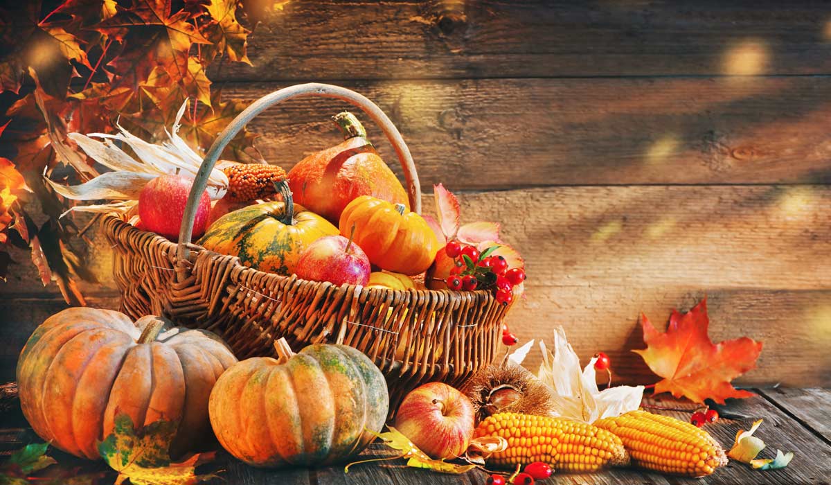 Thanksgiving in Los Angeles 2025