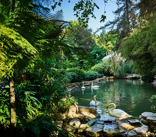 Hotel Bel-Air, Los Angeles
