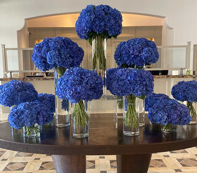 The Maybourne Beverly Hills