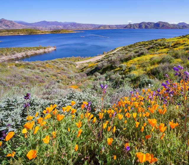 Diamond Valley Lake, Riverside