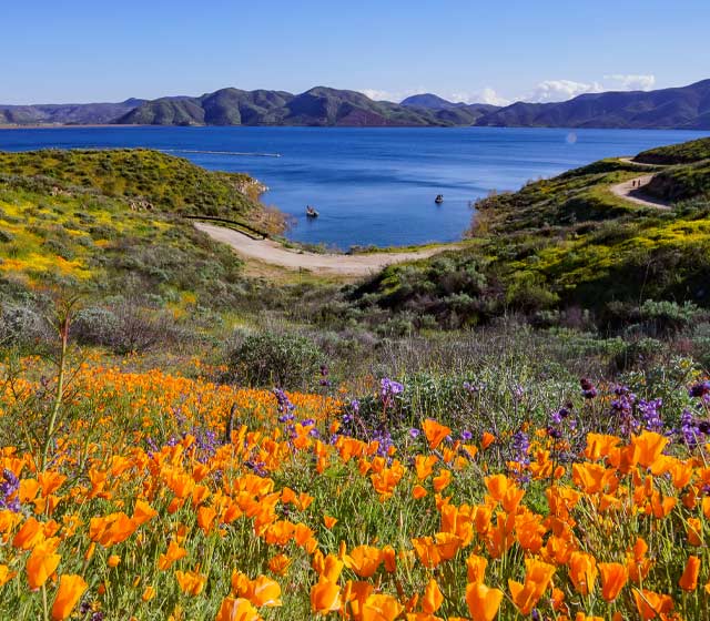 Diamond Valley Lake, Riverside