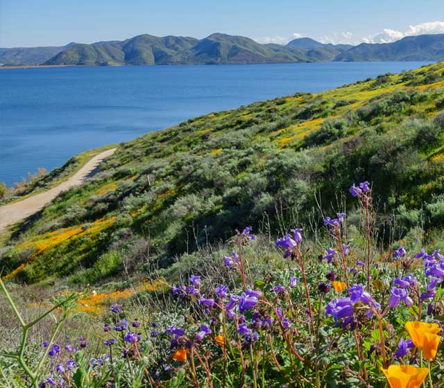 Diamond Valley Lake, Riverside