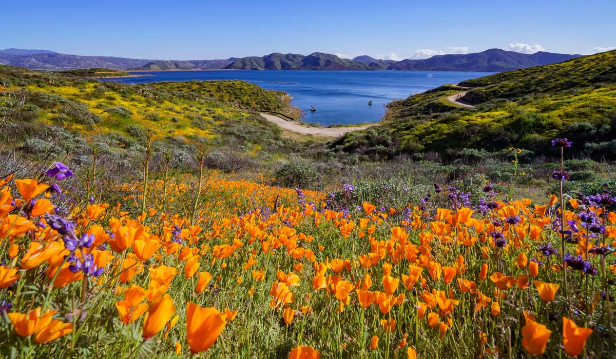 Diamond Valley Lake, Riverside County
