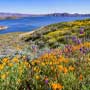 Diamond Valley Lake