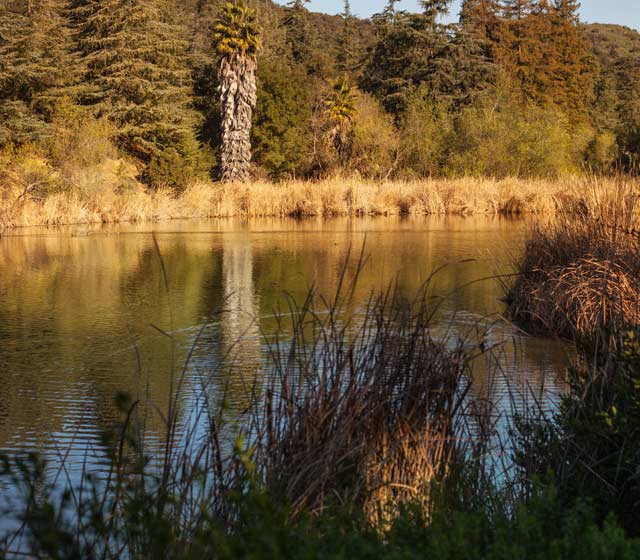 Charming Los Angeles Reservoirs