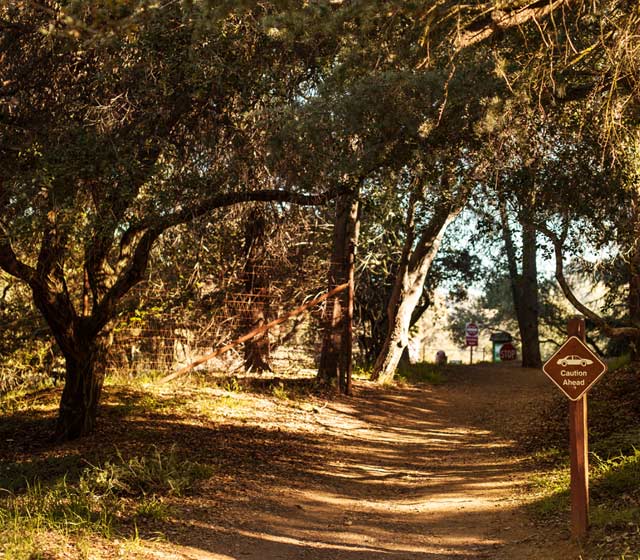 Charming Los Angeles Reservoirs