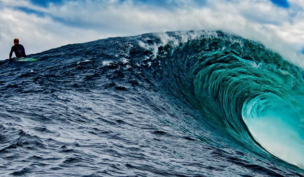 Los Angeles Surf