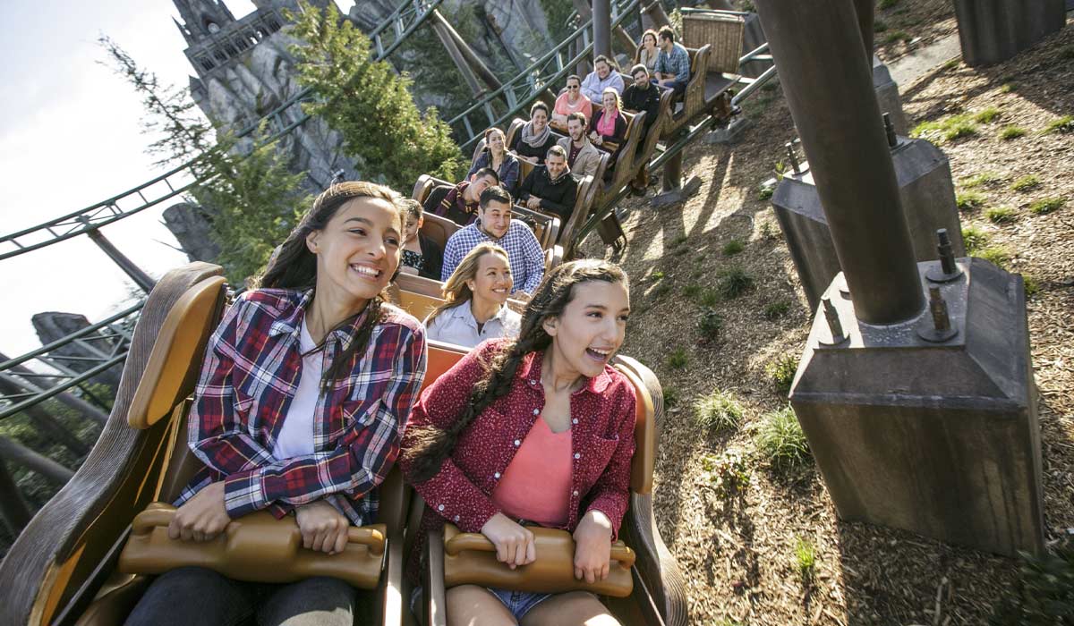 Flight of the Hippogriff™