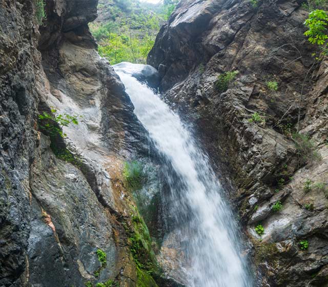Paradise Falls in Wildwood Park