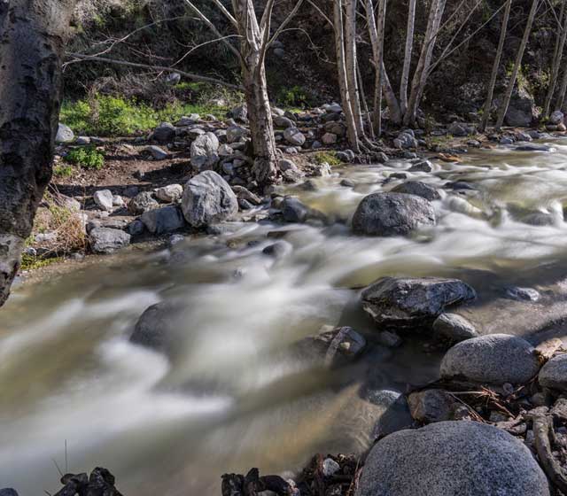 Paradise Falls in Wildwood Park