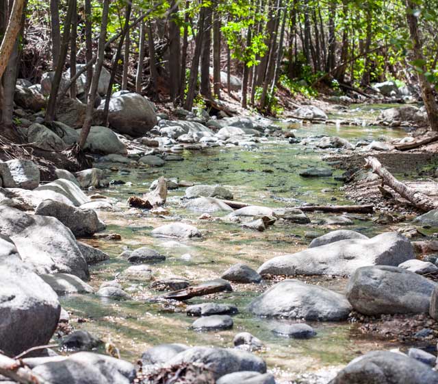 Paradise Falls in Wildwood Park