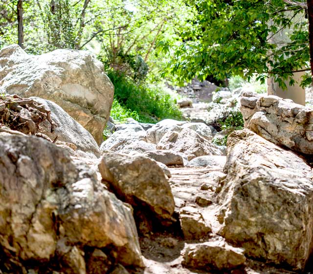 Paradise Falls in Wildwood Park