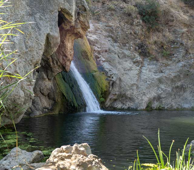 Paradise Falls in Wildwood Park