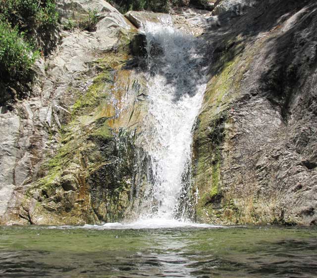 Paradise Falls in Wildwood Park