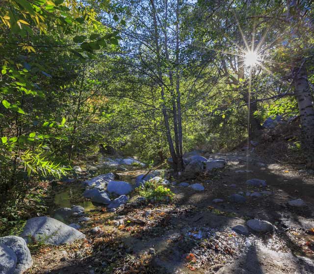 Paradise Falls in Wildwood Park